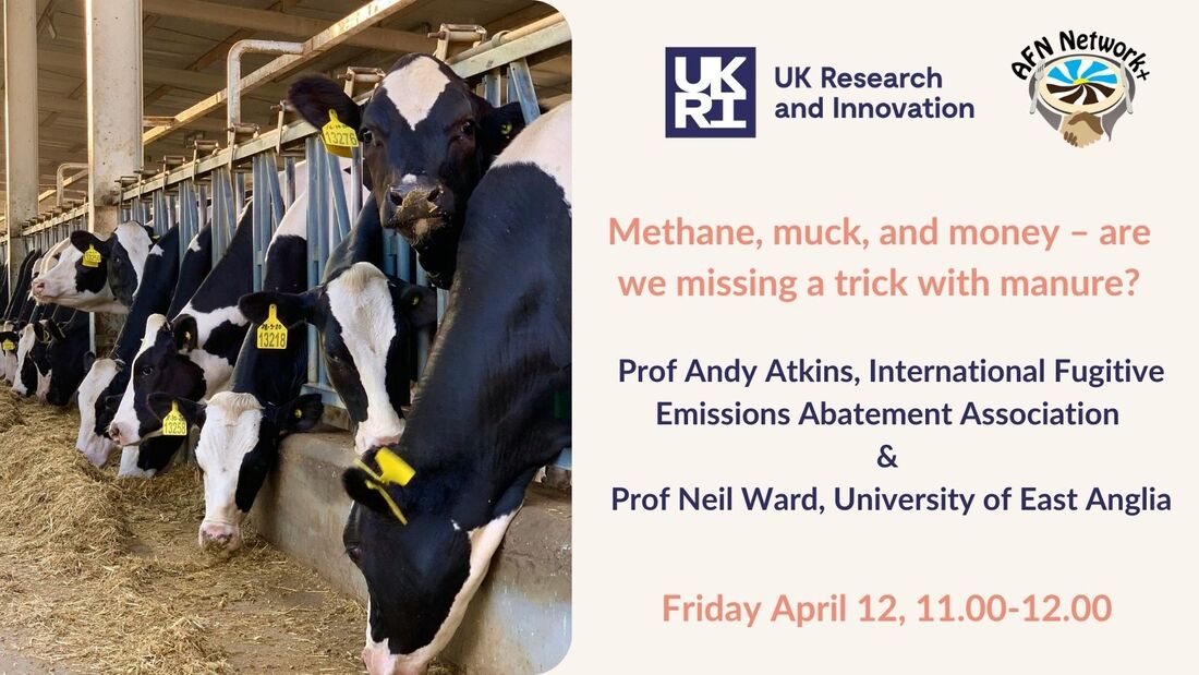 Promotional card for manure, muck and money webinar, featuring a picture of some cows.