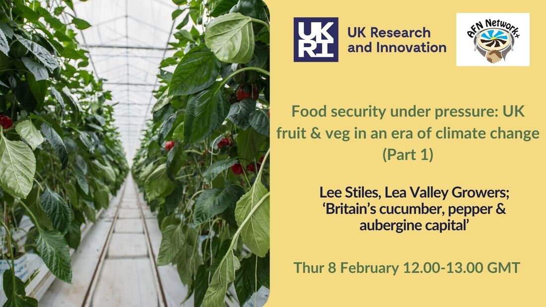 Promotional card for the webinar, with a picture of peppers growing in a greenhouse.