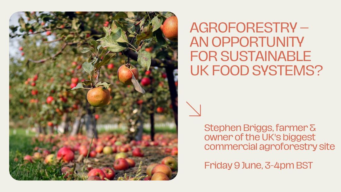 Text reads 'Agro-forestry - an opportunity for sustainable UK food systems. Stephen Briggs, farmer and owner of the UK's biggest commercial agroforestry site. Friday  9 June 3 to 4 pm bst '.