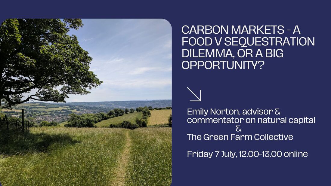 Carbon Markets - A Food versus Sequestration Dilemma or a Big Opportunity? This webinar will take place on Friday 7 July.
