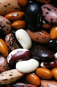 Picture of various beans, Image by Jan Nijman from Pixabay