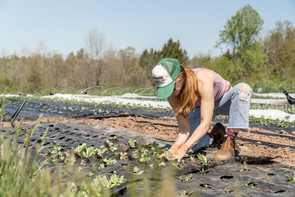 Young woman growing vegetables