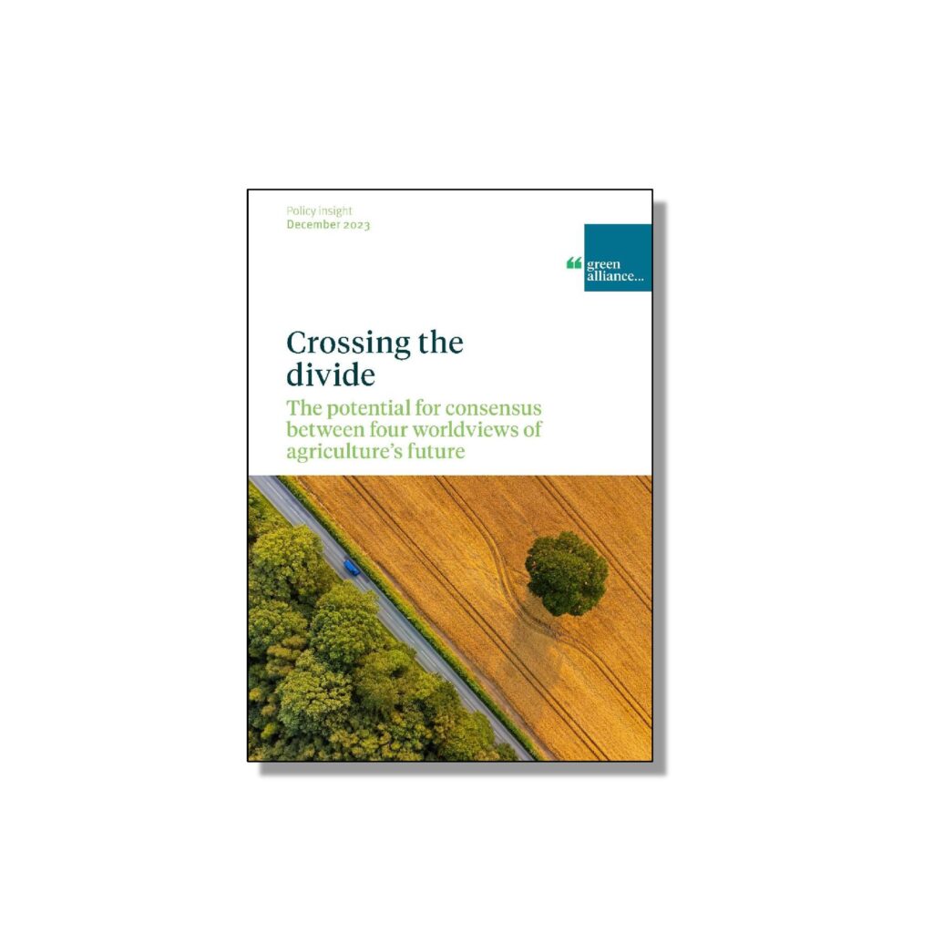 Cover of the Crossing the Divide report