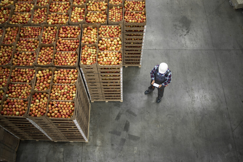 A view from above of stacked crates of apples. Someone in a hard hat is standing next to them.