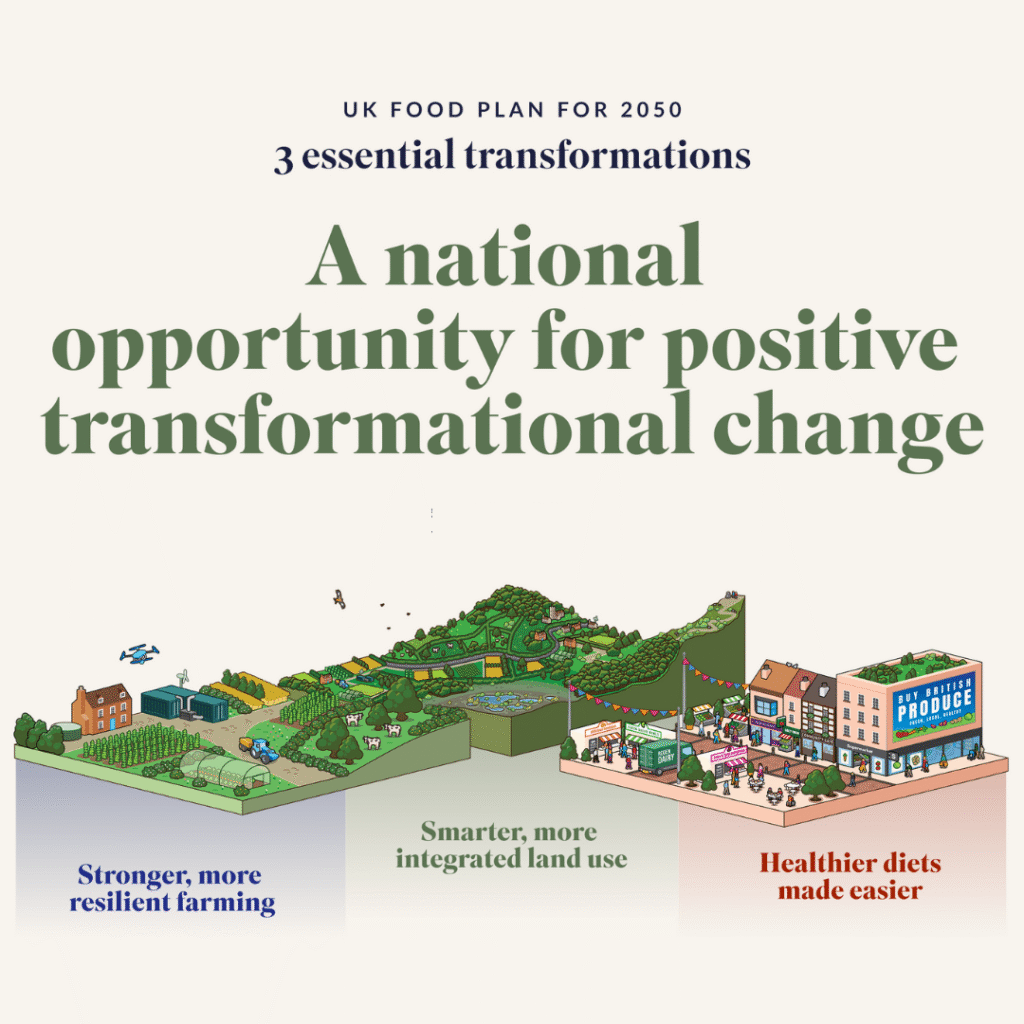 text reads: a national opportunity for positive transformational change. Image shows three illustrations of farmland where livestock and crops are mixed, landscape which is being used for a range of different purposes and a town centre where people are shopping and eating healthy food.
